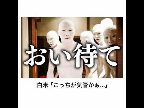 【ポンデライオン】殿堂入りボケてがマジでツッコミどころ満載だったwww【1531弾】