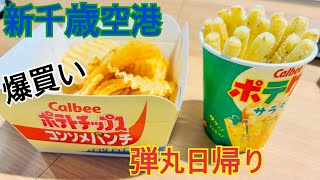 弾丸日帰り新千歳空港で遊んできました