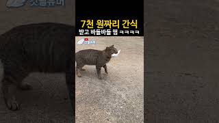 간식이 뭐이리 비싸 ㅋㅋㅋㅋㅋ