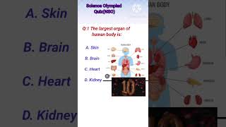 Sof NSO questions # short # viral# Olympiad