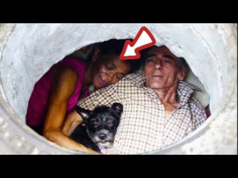 A Couple’s Sewer Life for 22 Years: What They Created Inside Will Shock You!