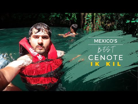 CLIFF JUMPED IN MEXICO'S BEST CENOTE | Cenote Ik Kil