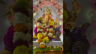 Ultimate CA Classes में बप्पा का स्वागत! 🙏🌺Bappa at UCA office✨