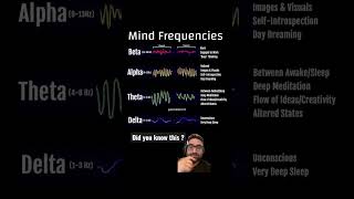 The mind frequencies #brainwaves #humanmind #meditation #alphawaves #betawaves
