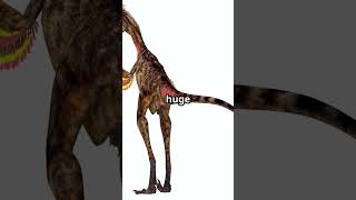 “These Dinosaurs Could See in the Dark?! 👀🌙🦖”