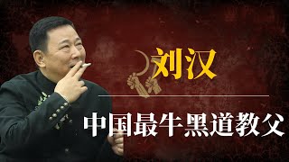 刘汉：中国最牛黑道教父的诞生与陨落｜刘汉得罪了谁｜刘汉内幕｜刘汉 周公子｜刘汉前妻杨雪｜刘汉庭审现场｜刘汉保护伞｜刘汉刘维｜狂飙原型｜高启强原型｜中国黑帮老大｜周永康｜周滨