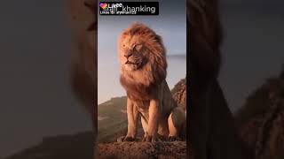The layon king #banglachannl