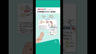 【尿素窒素（BUN）の基準値】#病気がみえる #ゴロ #勉強 #尿素窒素 #BUN