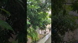 Swathilo muthyamanta Telugu #song