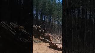Forwarder on Slope
