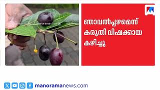 ഞാവല്‍പ്പഴമെന്ന് കരുതി; അബദ്ധത്തില്‍ വിഷക്കായ കഴിച്ച്  വിദ്യാര്‍ഥി ആശുപത്രിയില്‍ | Kozhikode