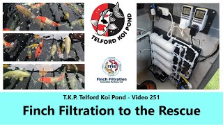 T.K.P. Telford Koi Pond - Video 251 - Finch Filtration to the Rescue. #koi #ponds #japan