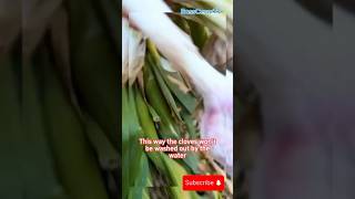 Planting Garlic 🧄#agriculture #satisfying #farming #farmingtips #shorts