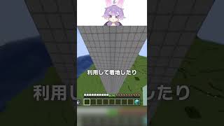世界一難しい着地してみた【マイクラ豆知識 解説 裏技】