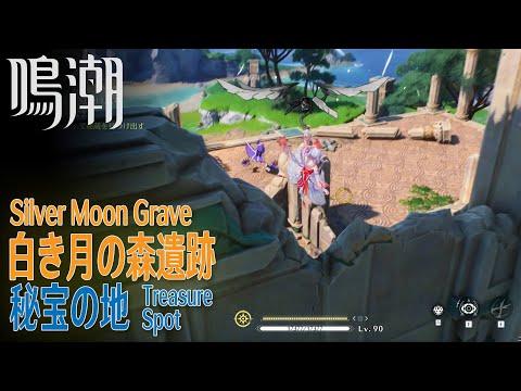 【鳴潮】秘宝の地/秘蔵箱4個/リナシータ/白き月の森遺跡 [Treasure Spot,Silver Moon Grave,Rinascita,WUWA,37930～37933]