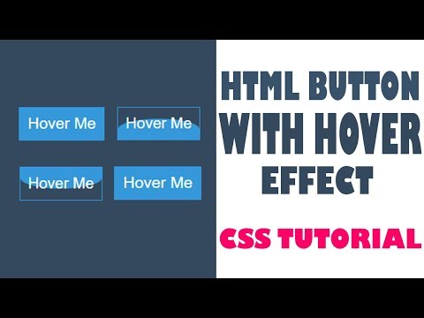 I Created AMAZING CSS Buttons With Hover Effects