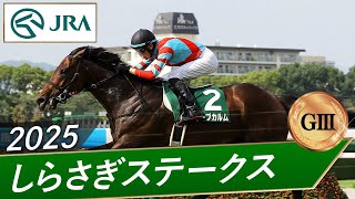 2025年 しらさぎステークス（GⅢ） | キープカルム | JRA公式