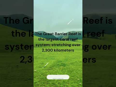 Geography facts #shorts#Rainforest#RenewableEnergy#GreatBarrierReef#RingofFire#AntarcticaFacts