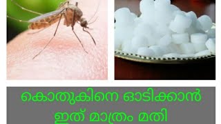 How to Get Rid of Mosquitoes||ഇത് മാത്രം മതി കൊതുക് പൊക്കോളും