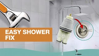Fix a Leaky Delta Shower Faucet | Replace RP46074 Cartridge (1300/1400 Series)