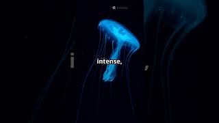 Why the Deep Ocean Is Full of Freaky Creatures? #science #shorts #ocean #youtubeshorts