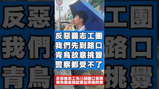 反惡罷到一半 青鳥來鬧場 #我不同意罷免 #大惡罷大失敗 我一個打全部