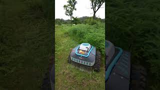 Cordless Lawn Mower for Large Areas | Koham OEM High Runtime #CordlessMower #OEM