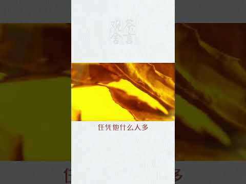賠妳喝茶的哪個人懟了嗎？鉿鉿  wechat：zcj049 #召喚茶友#送茶葉壹斤茶具壹套  #tea #喝茶 #茶葉 #咆茶 #普洱茶 #茶蜘識  #茶道 #茶文化