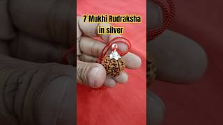 7 Mukhi Rudraksha #7mukhi #7mukhirudraksha #rudraksh #rudraksha #rudrakshabenefits #silver