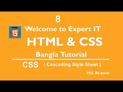 8.  What is CSS? || Type of CSS || HTML & CSS || Web Design || #html || #css