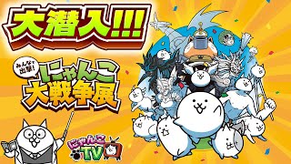 【にゃんこTV】にゃんこ大戦争展にゃ！【にゃんこ大戦争公式】