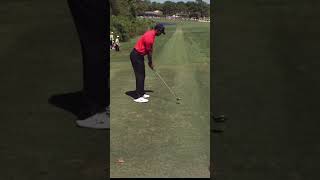 Tiger woods stinger with 3 wood #golfswing #tigerwoods #pgatour