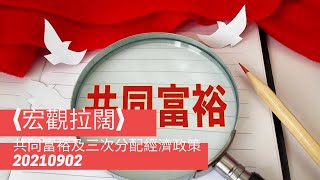 〈宏觀拉闊〉EP_68: 共同富裕及三次分配經濟政策 Live show 20210902