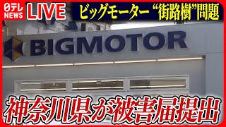 【ライブ】『ビッグモーターに関するニュース』“街路樹”問題で神奈川県が被害届提出　茨城県はつくば店前で土壌採取など――ニュースまとめライブ（日テレNEWS LIVE）