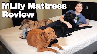 MLILY Fusion Luxe Mattress Review - Ask Doctor Jo