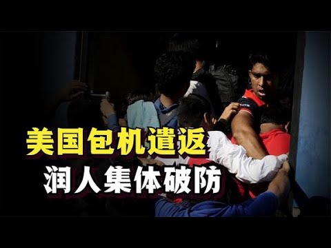 全世界都盼着懂王上台，为啥只有润人瑟瑟发抖？