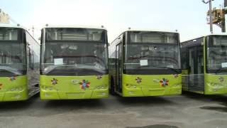 基隆港西岸碼頭 大都會公車 新購 大金龍 低底盤公車