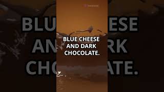 Bluecheese Dark Chocolate - Only for the brave: Are you ready to try this gourmet pairing?