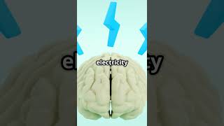 5 Insane Facts That Will BLOW Your Mind!!!!