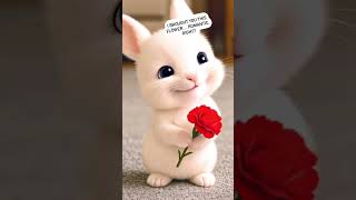 When Tiny Bunnies Have Huge Problems 😂 | Animated Comedy Short #animatedshorts #relatablehumor
