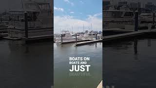 I can't tell you how much I've manifested during walks along the harbor. Read more in description!