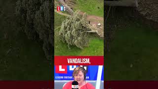 Two men jailed for felling Sycamore Gap tree | LBC