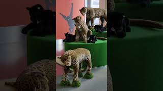 新千歲機場 動物園 北海道