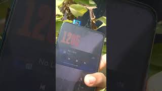 Redmi K20pro 💥 2025