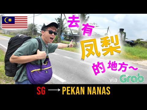 Exploring Johor by Grab | Small Town Vibes of Msia去有凤梨的地方｜人情味够力够力 (Pekan Nanas)