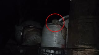 Paranormal creature stalks people if they go to abandoned places at night