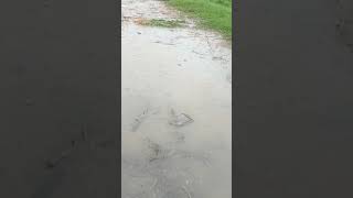 soba 5:30 baje
