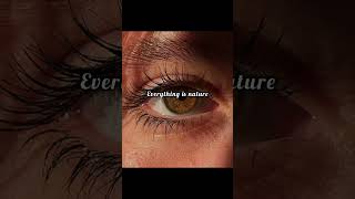 everything is nature #aestheic #tranding#moreviews#fypシ゚#viralshort#moreview #1millionviews#trending