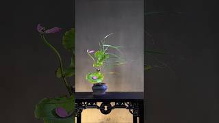 一苇斜风听残语 中式插花教程#远征教插花 #中式插花 #东方插花 #器物美学 #好看的花一定要分享给你