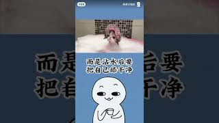 猫不喜欢谁的原因！ #知识分享 #知识探索